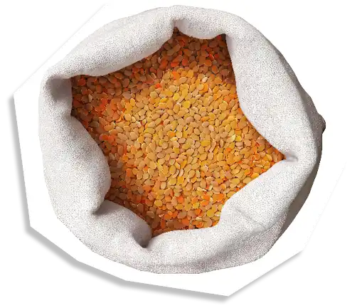 Lebensmittel werden auch lose angeboten, was Verpackungsabfall reduziert: Link zur Liste der Anbieter unverpackter Waren